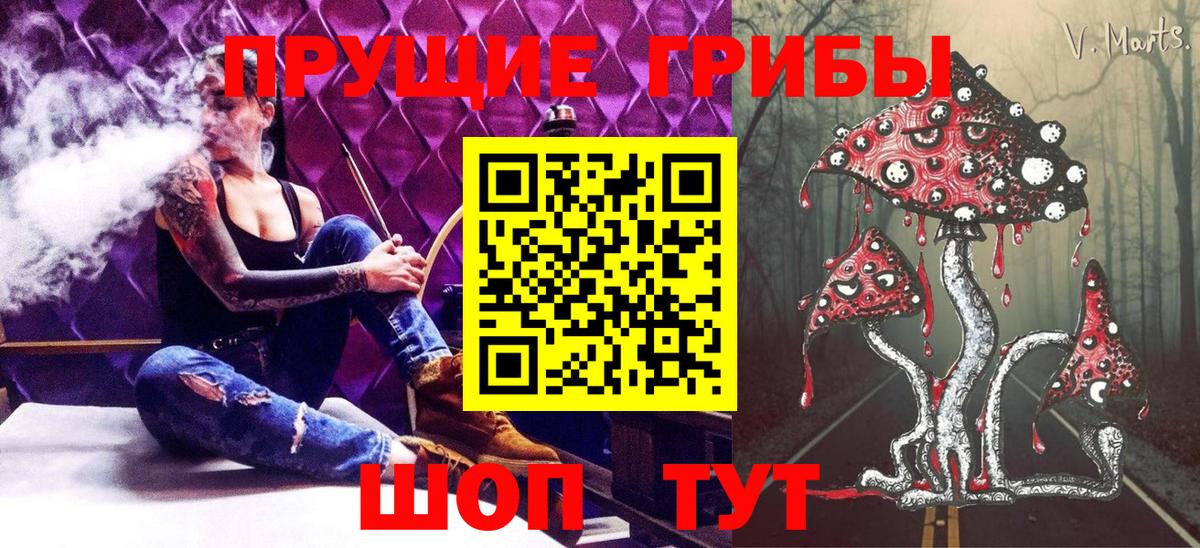 купить закладку  Псилоцибиновые грибы ЛСД  Вход с VPN  Саянск 
