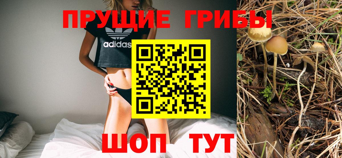 Псилоцибиновые грибы MAGIC MUSHROOMS Саянск